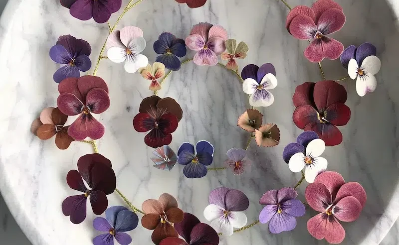 Paper sculptures